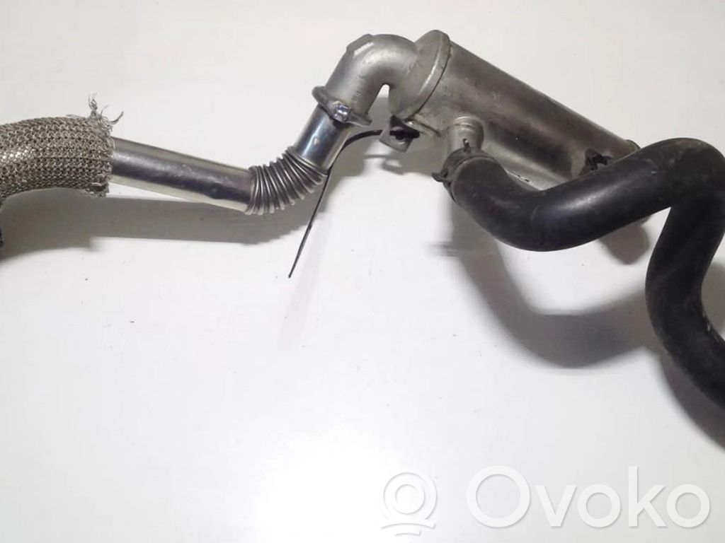Peugeot 307 Răcitor supapă EGR 