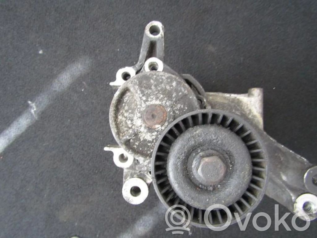 Întinzător curea generator/alternator