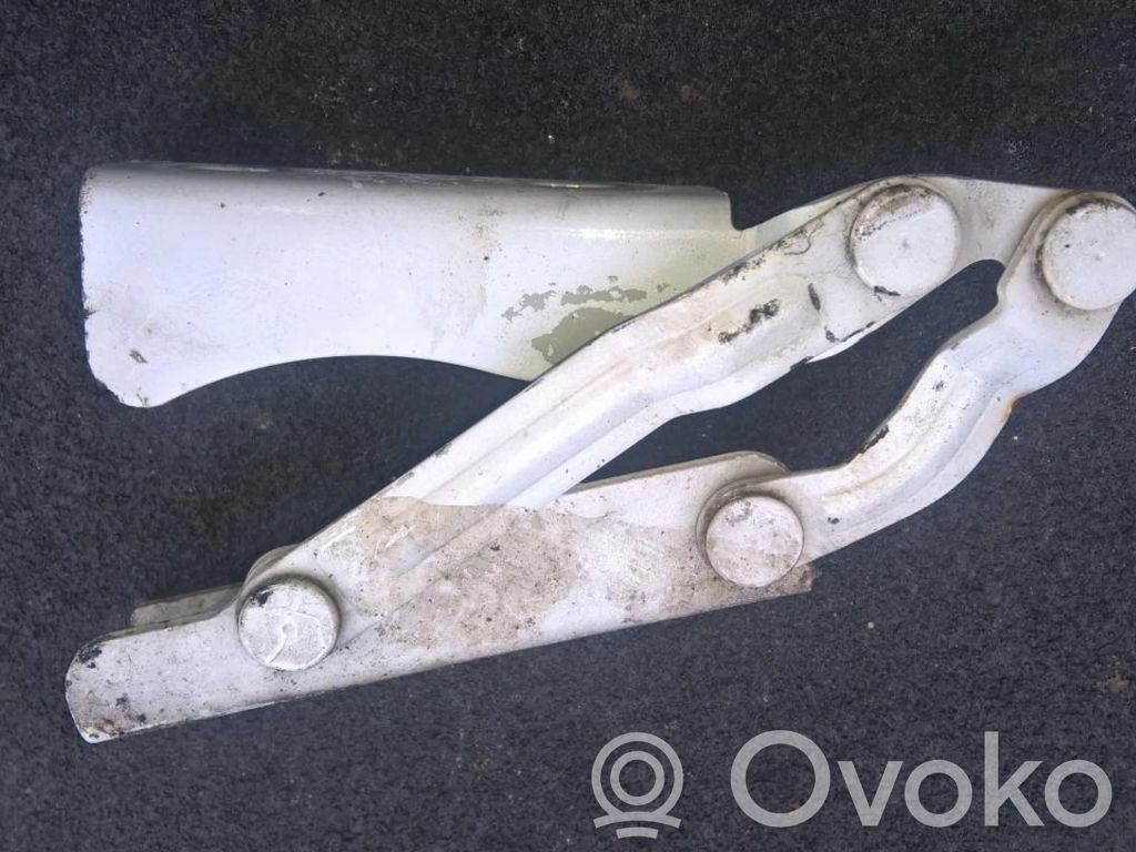 Bisagras del capó/tapa del motor