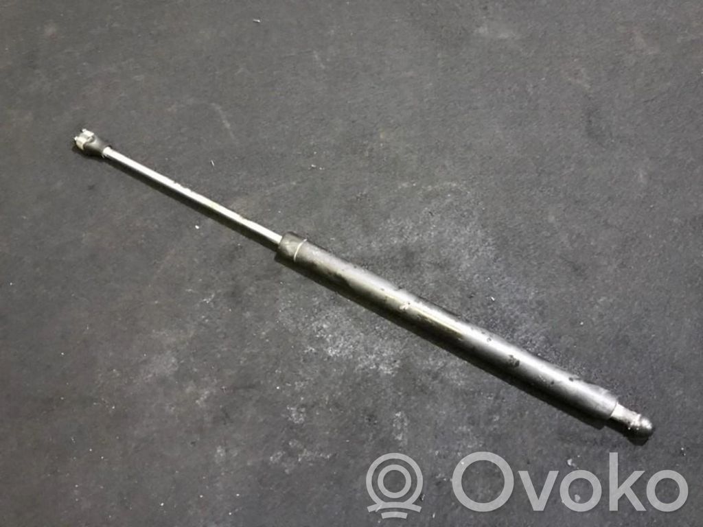 Tailgate/trunk strut/damper