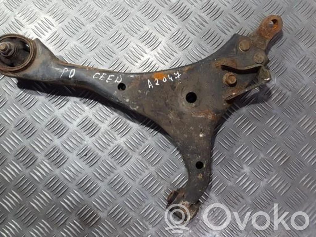 Front lower control arm/wishbone