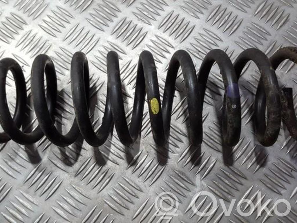 Rear coil spring