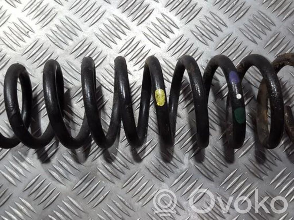 Rear coil spring