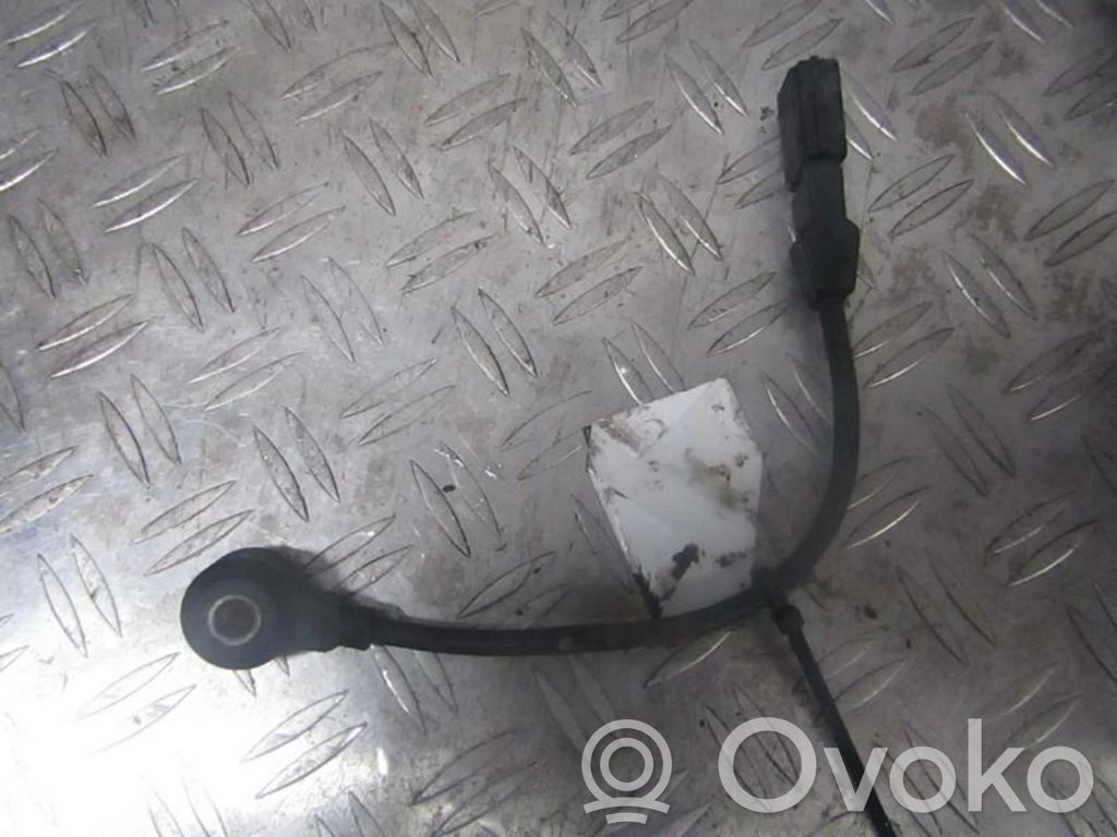 Porsche Cayenne (9PA) Klopfsensor 