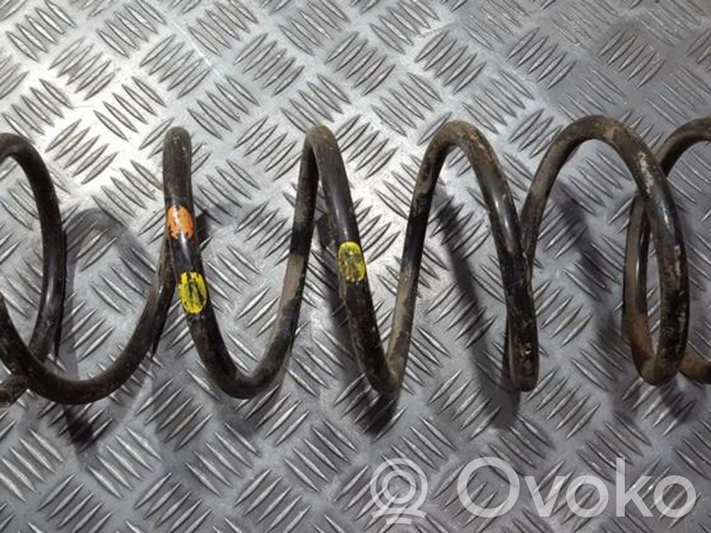 Front coil spring