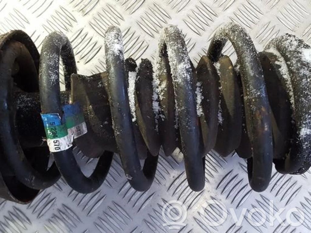 Front coil spring   5234570,5234570