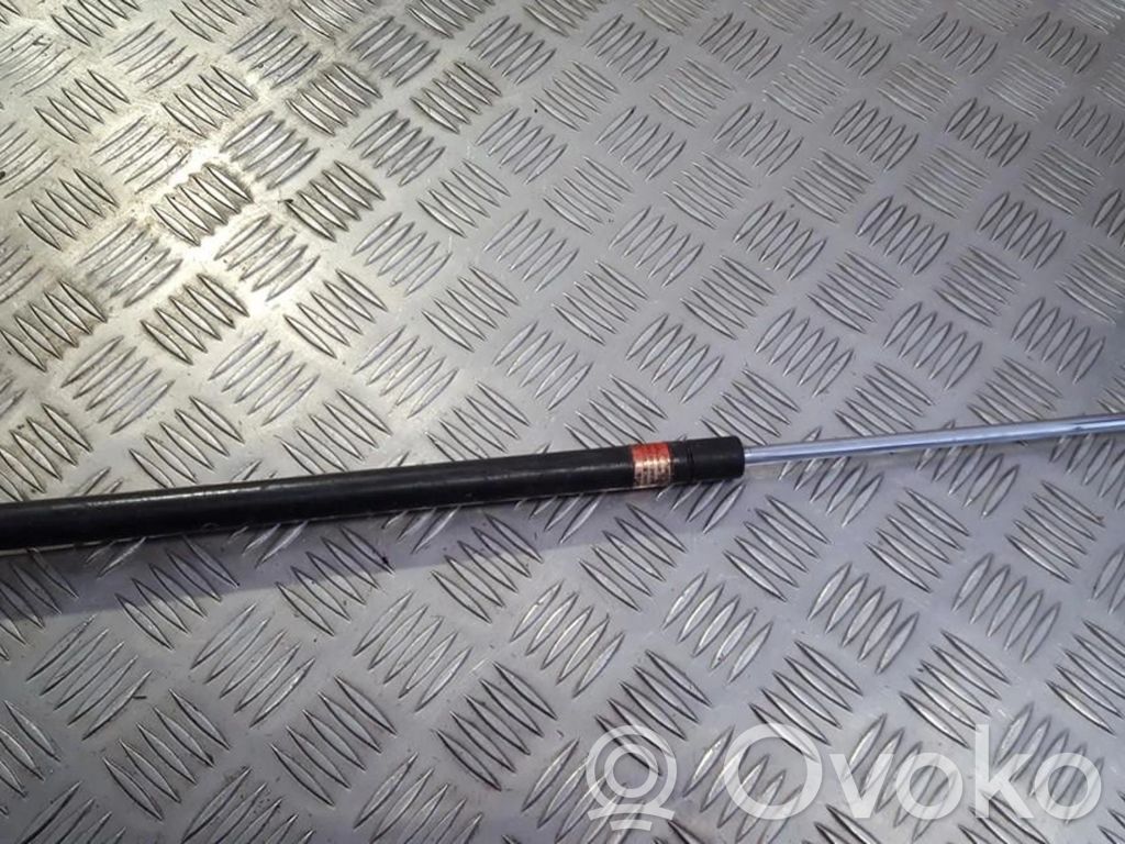 Tailgate/trunk strut/damper