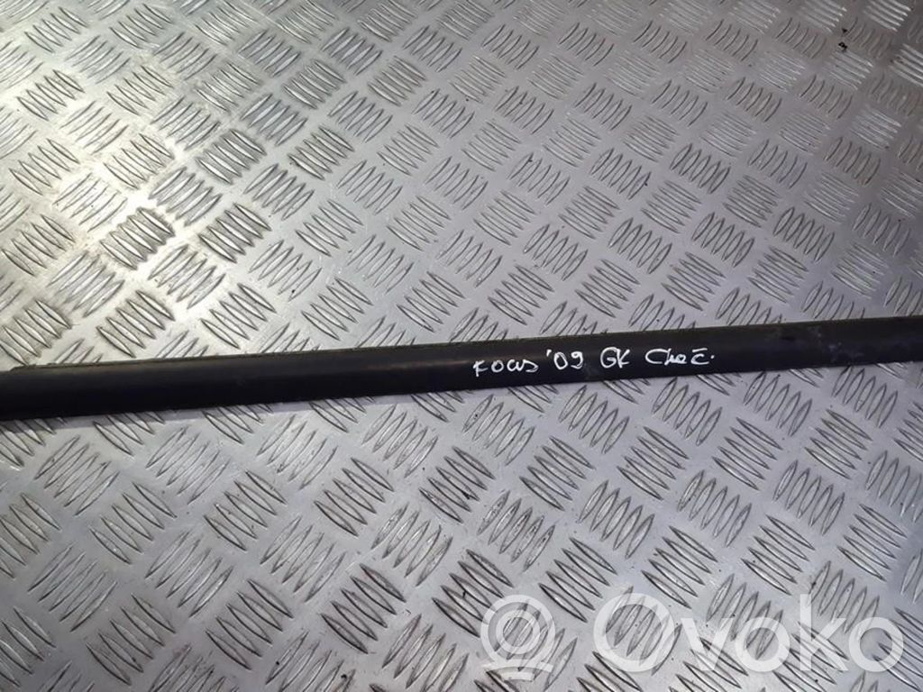 Ford Focus Ornament geam ușă spate 