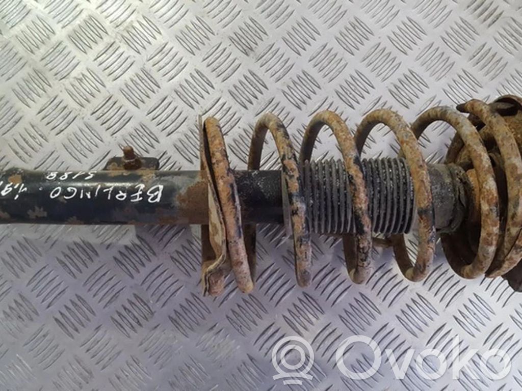 Ammortizzatore anteriore   383313EGT,383313EGT