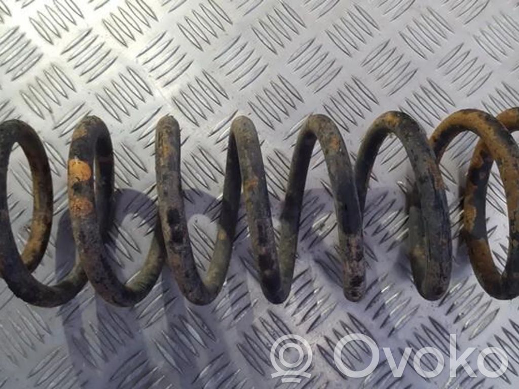 Muelle espiral trasero