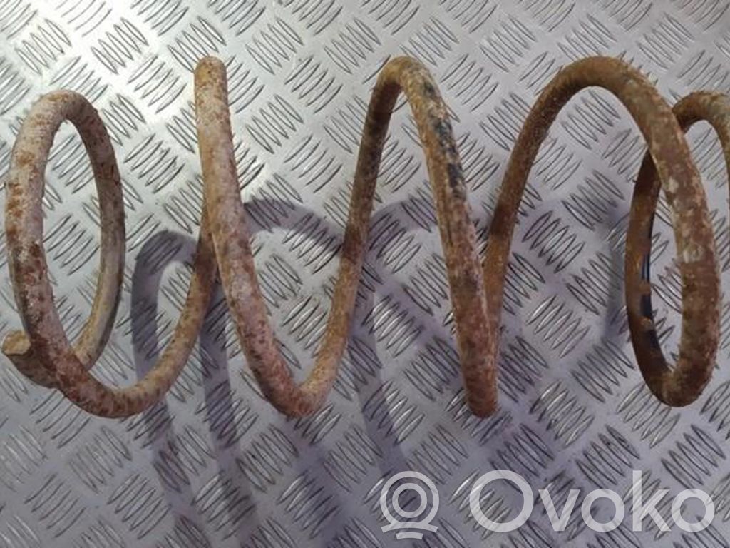 Molla elicoidale anteriore