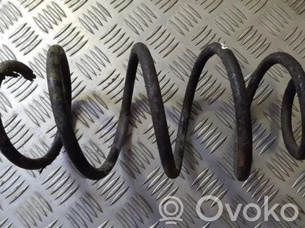 Front coil spring