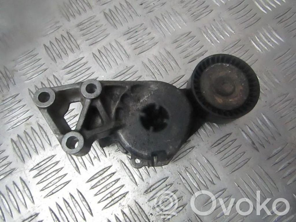 Întinzător curea generator/alternator   06A903315E,414000,06A903315E,414000