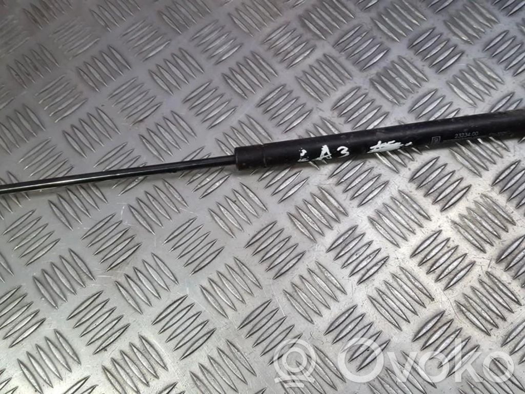 Audi A3 S3 8L Ammortizzatore portellone posteriore/bagagliaio
