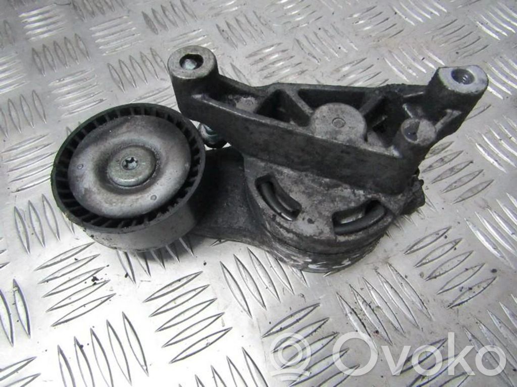 Tensor de correa del alternador   03G903315,03G903315