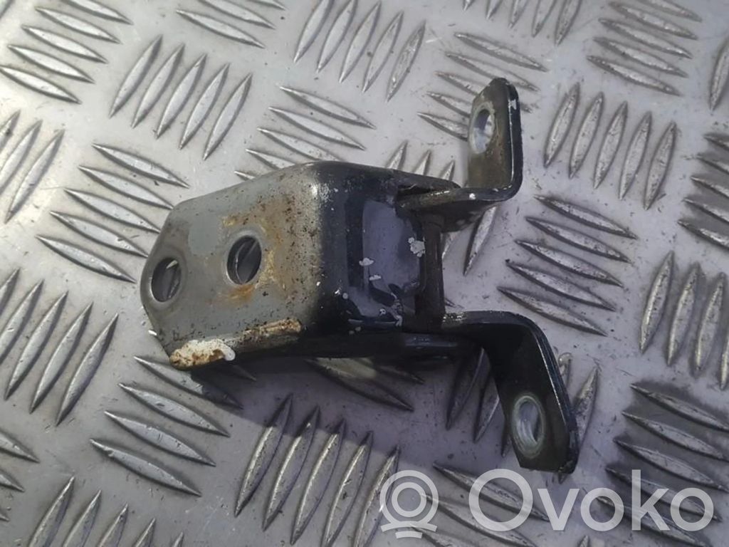 Rear door lower hinge