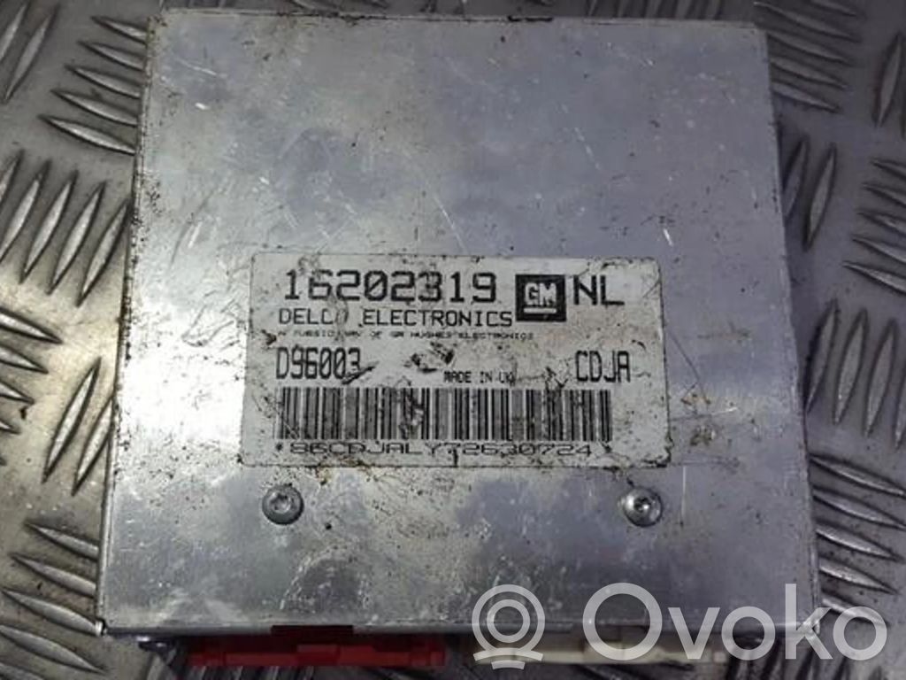 Sterownik / Moduł ECU   16202319,16202319