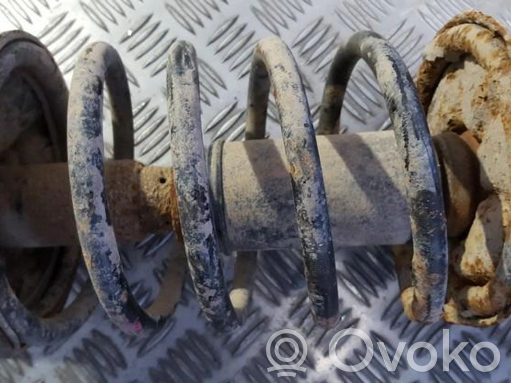 Front coil spring
