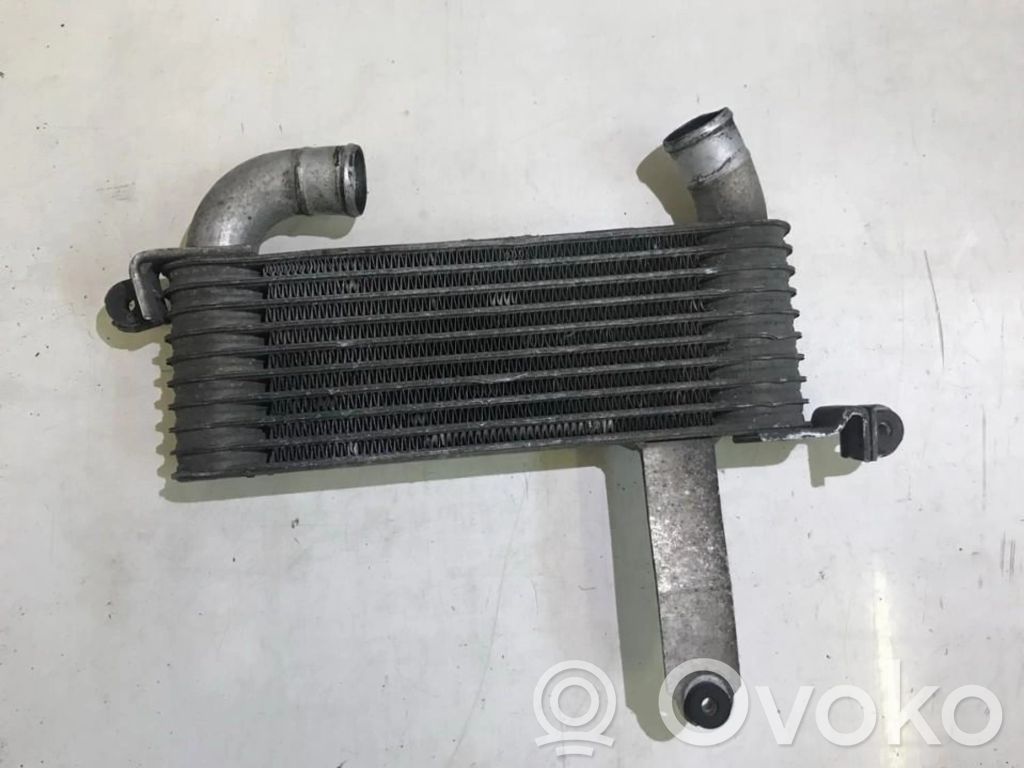 Hyundai Matrix Radiador intercooler 