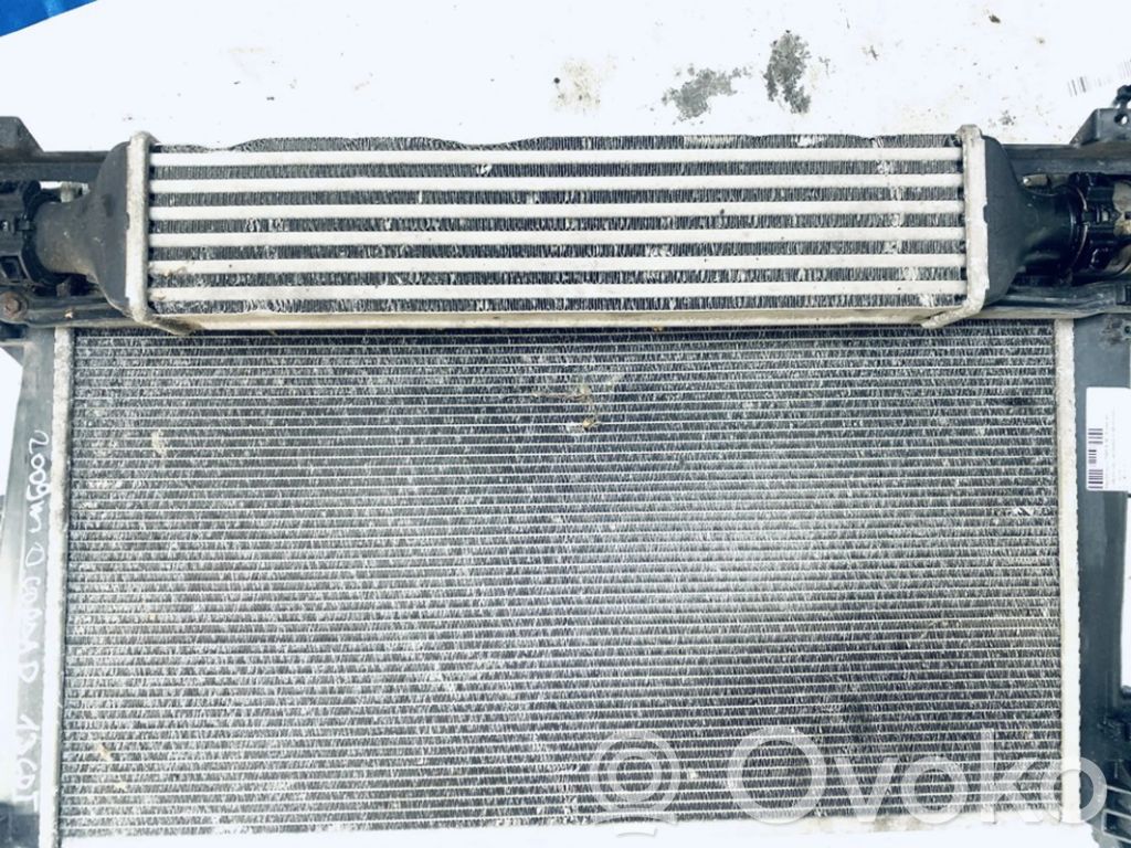 Radiator intercooler