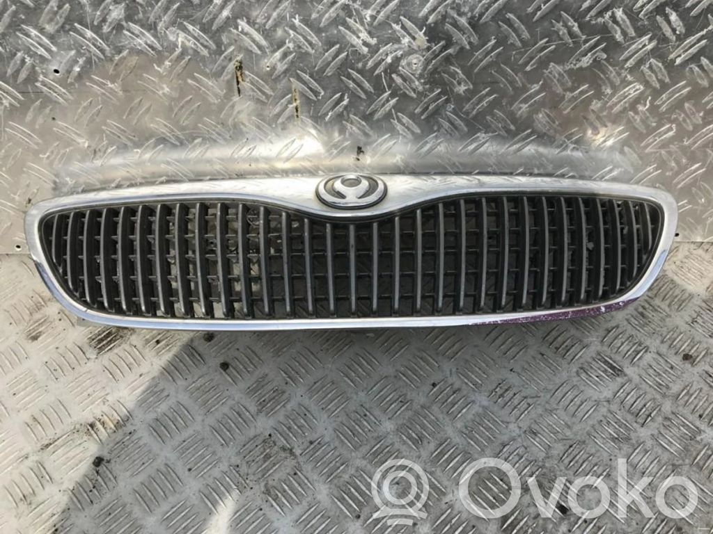 Atrapa chłodnicy / Grill