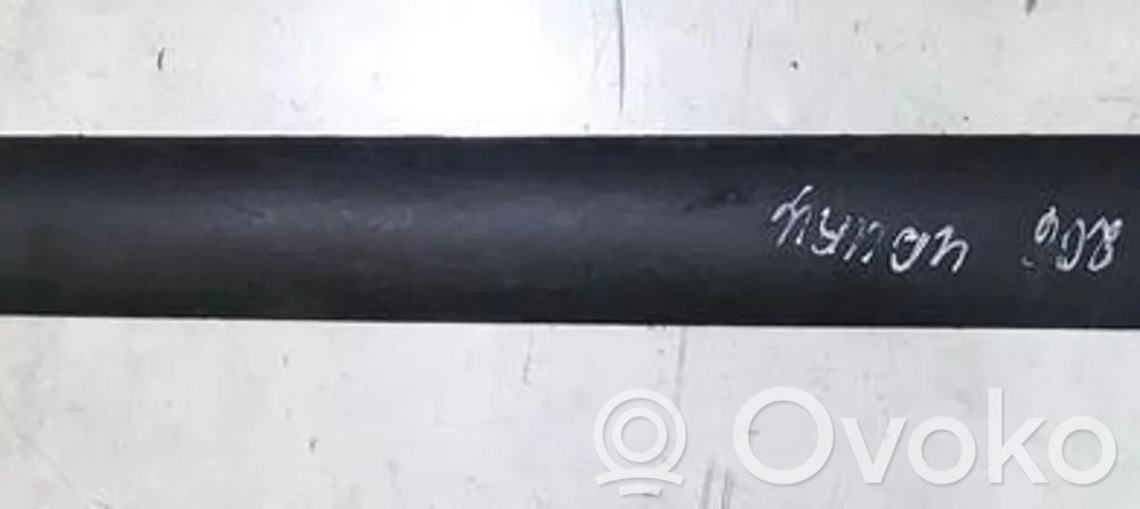 Peugeot 206 Rivestimento della portiera anteriore (modanatura)