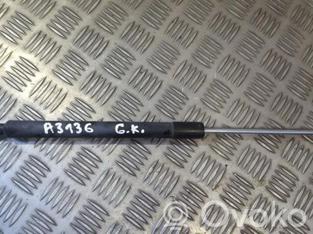 Renault Clio III Ammortizzatore portellone posteriore/bagagliaio 