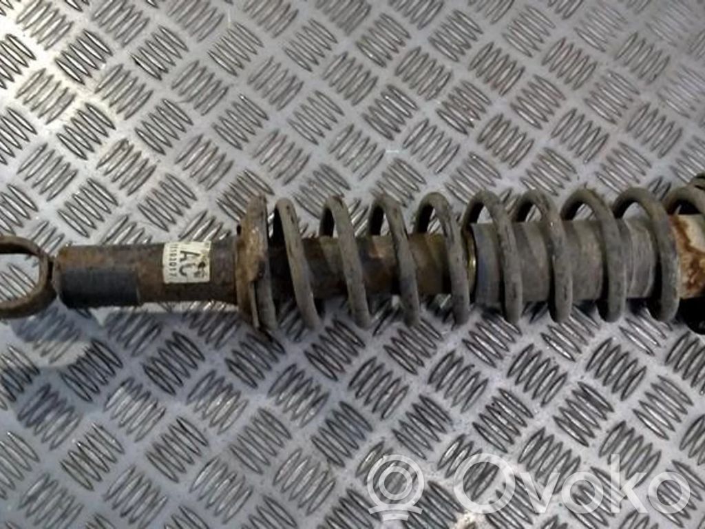 Stoßdämpfer hinten   22103017,22103017