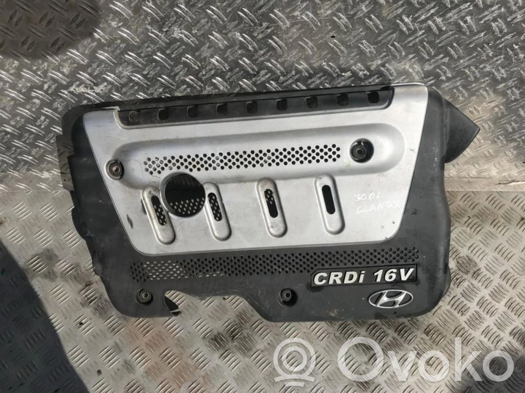 Cubierta del motor (embellecedor)