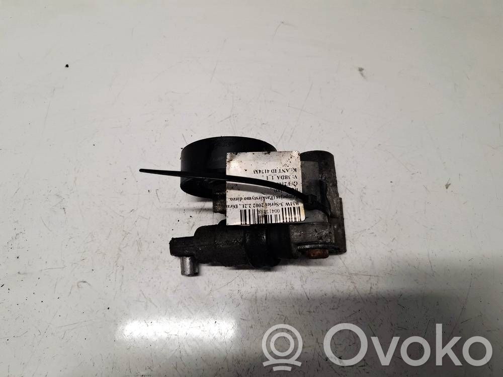 BMW 3 E46 Tensor de correa del alternador 