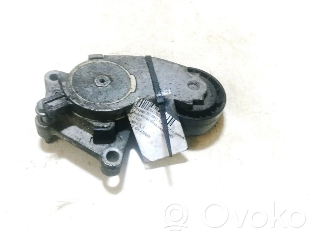 Peugeot 207 Întinzător curea generator/alternator 