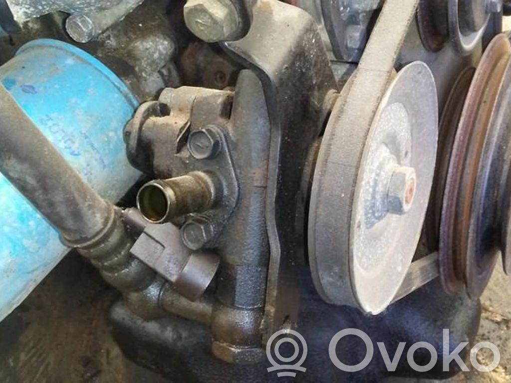 Nissan Primera Pompa servosterzo 