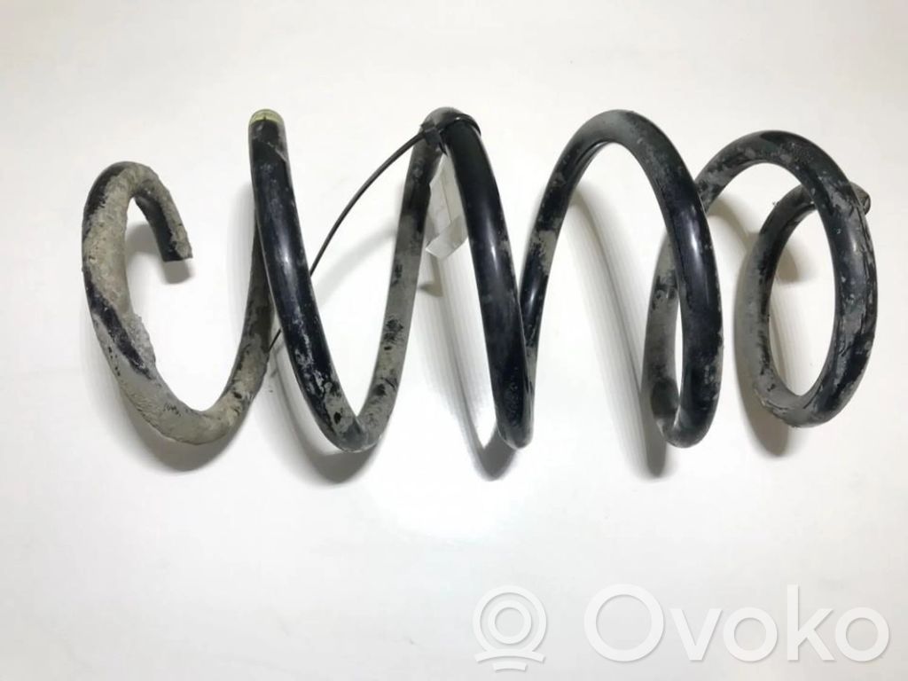 Front coil spring