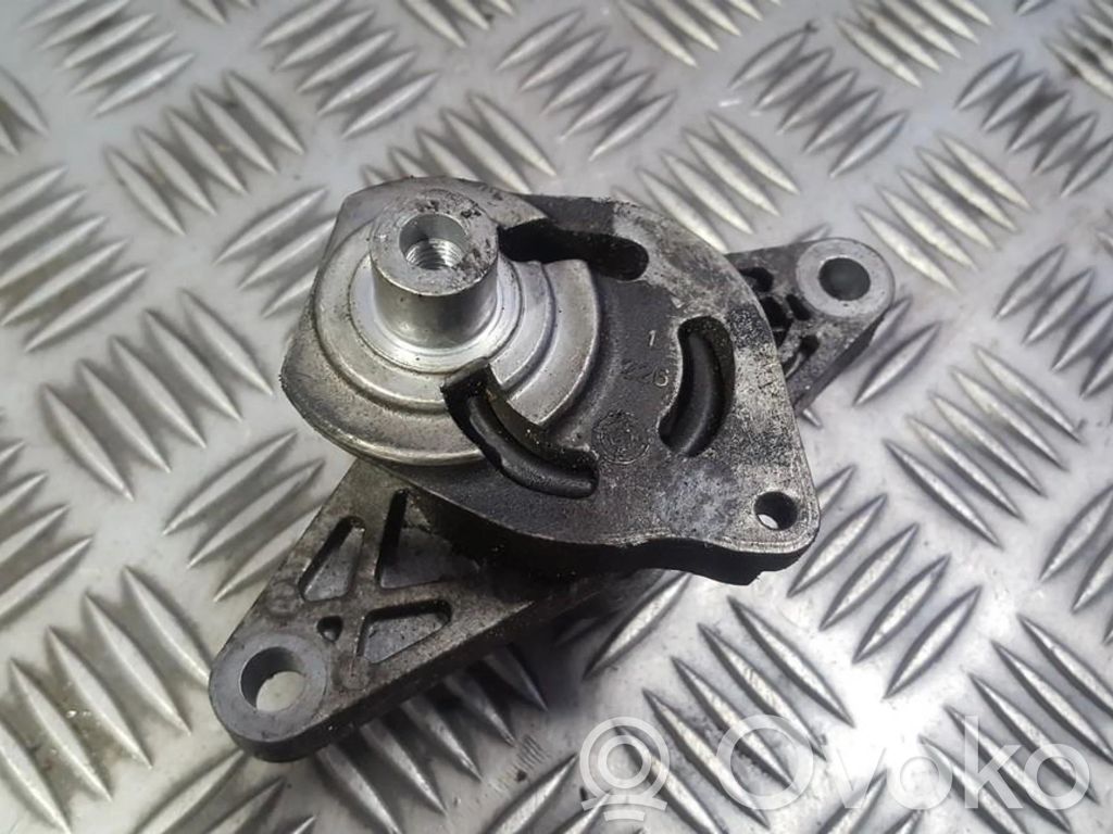 Peugeot 206 Napinacz paska alternatora