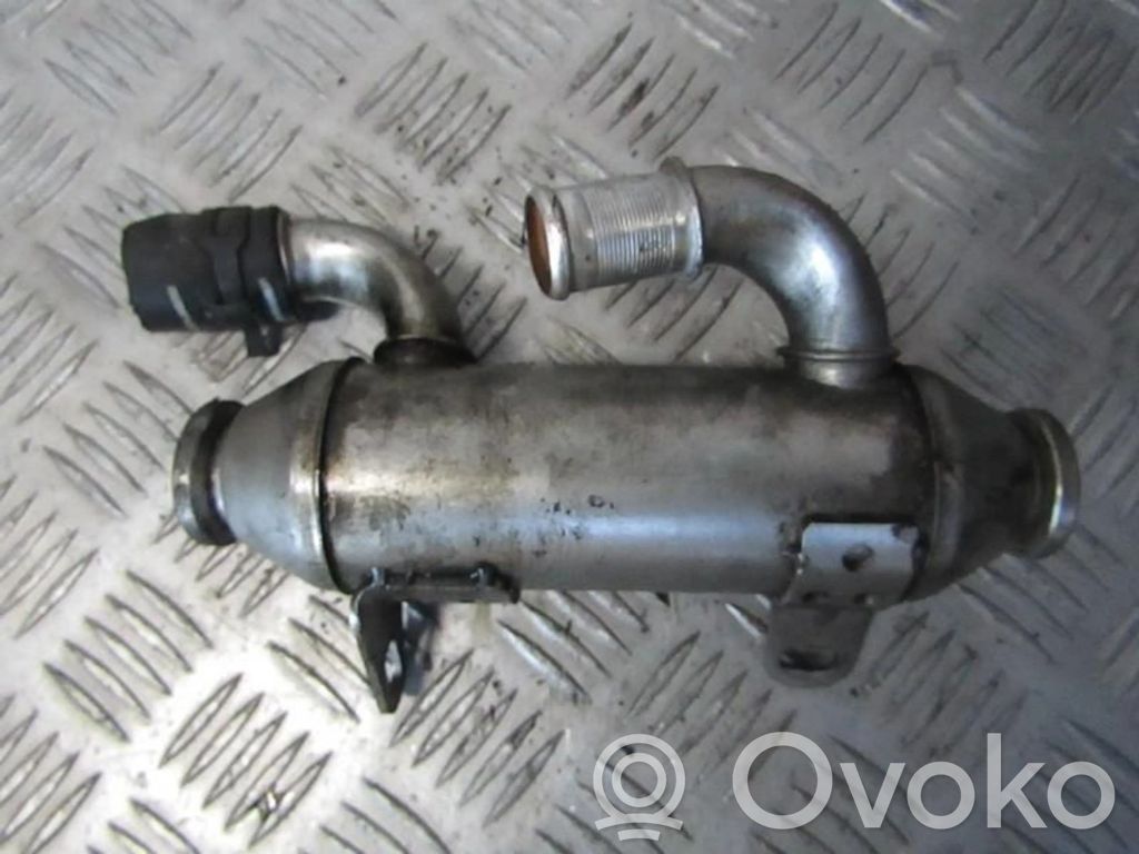 Peugeot 307 Refrigerador de la válvula EGR 