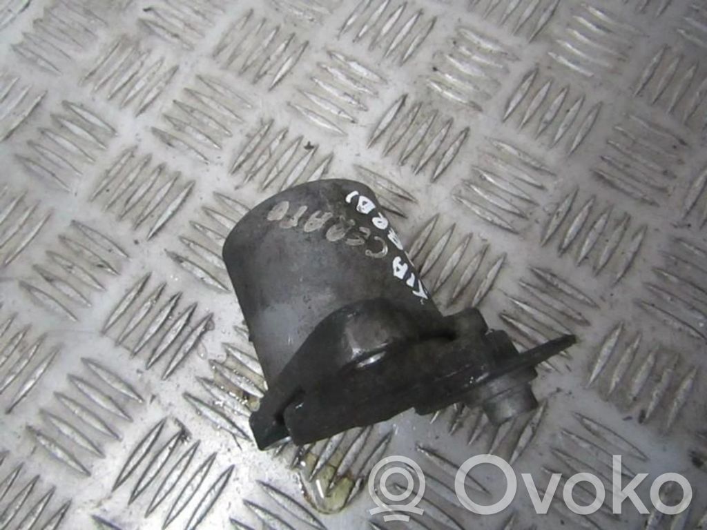 KIA Cerato Tendicinghia generatore/alternatore 