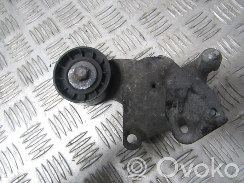Tensor de correa del alternador   TF129B,TF129B