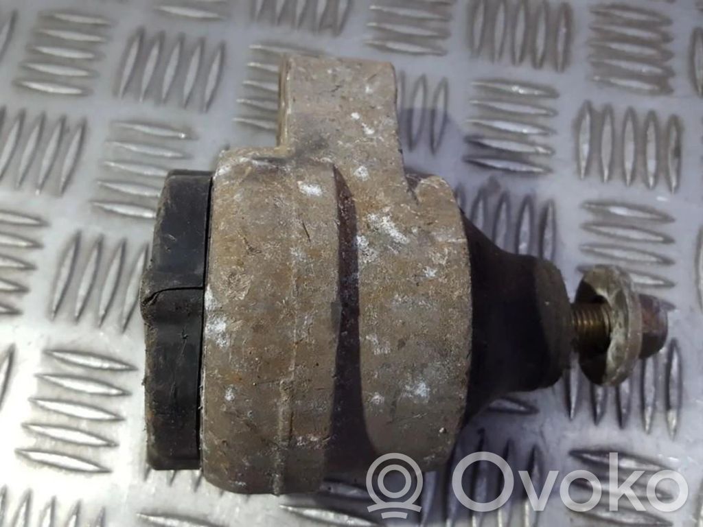Ford Focus Dzinēja spilvens 
