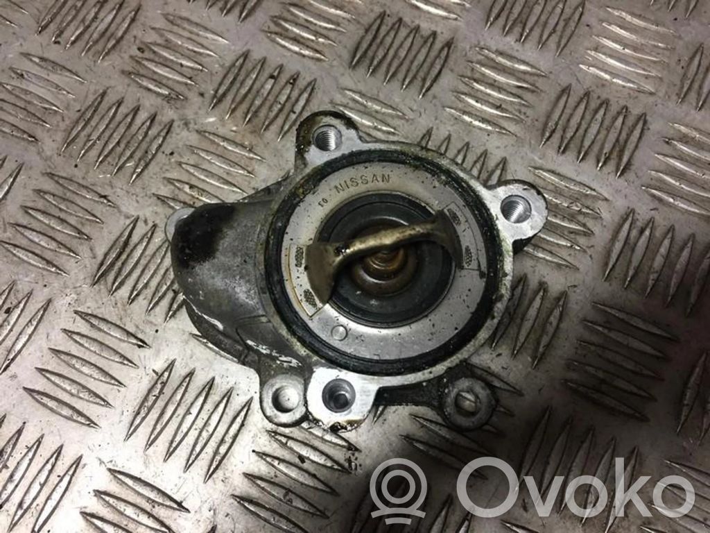 Nissan Almera Tino Przewód / Wąż chłodnicy 