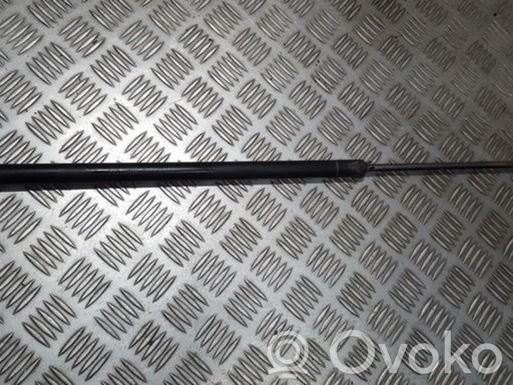 BMW X3 E83 Tailgate/trunk strut/damper 