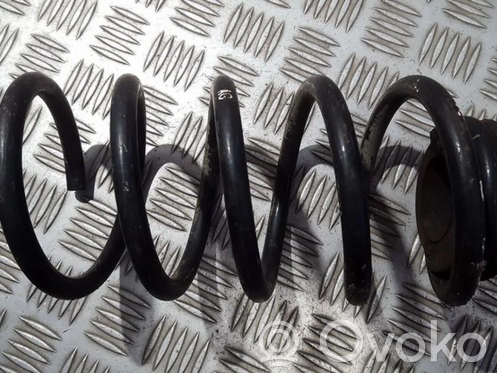 Rear coil spring