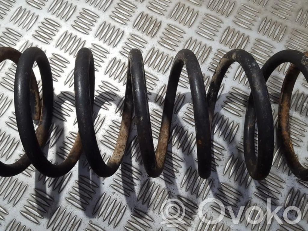 Rear coil spring