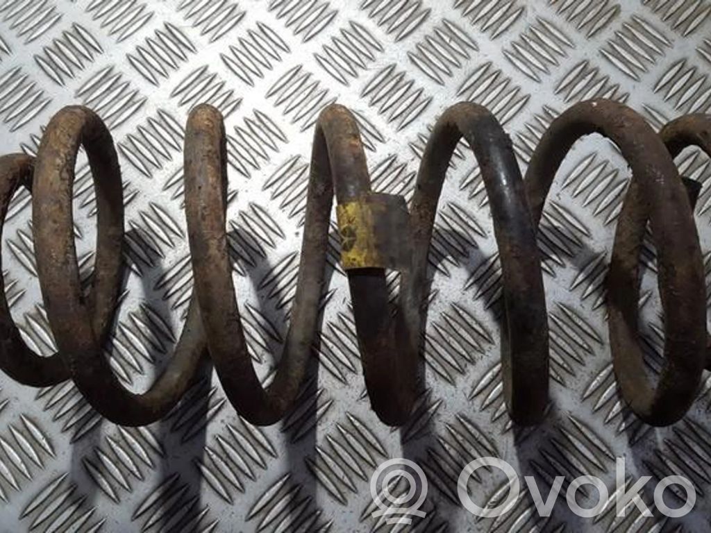 Rear coil spring