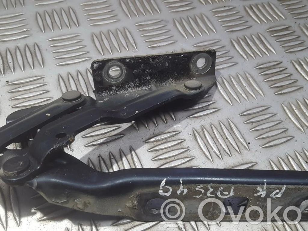 Volkswagen Golf V Balamale capotă 