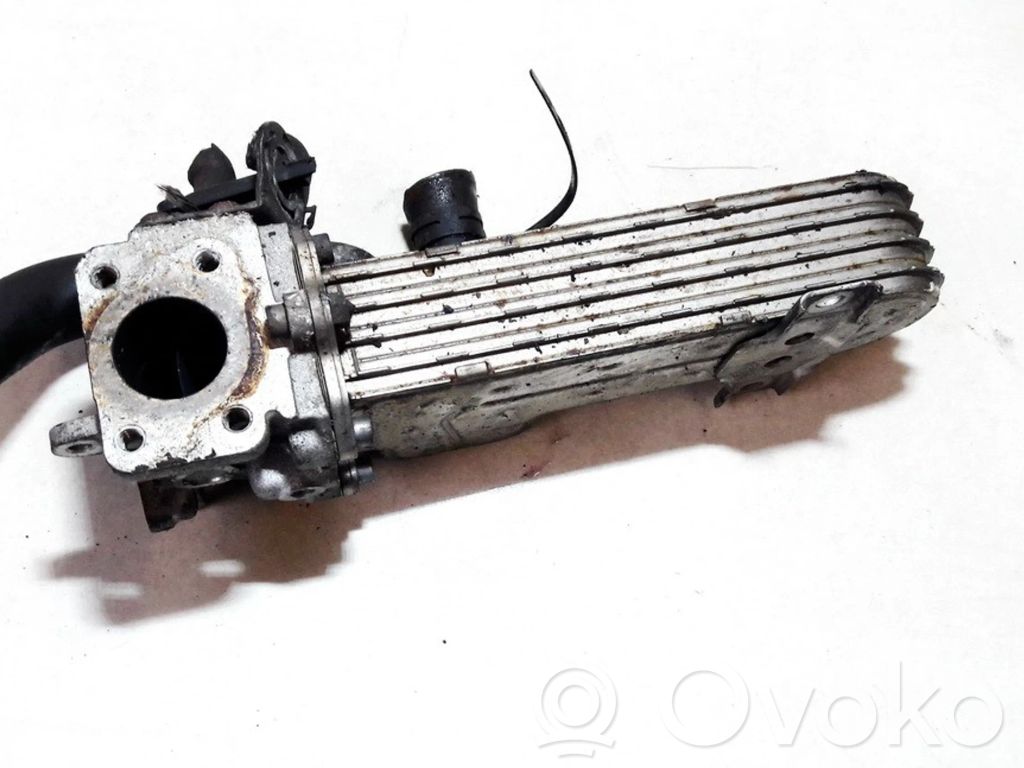 Volkswagen Jetta V Valvola di raffreddamento EGR