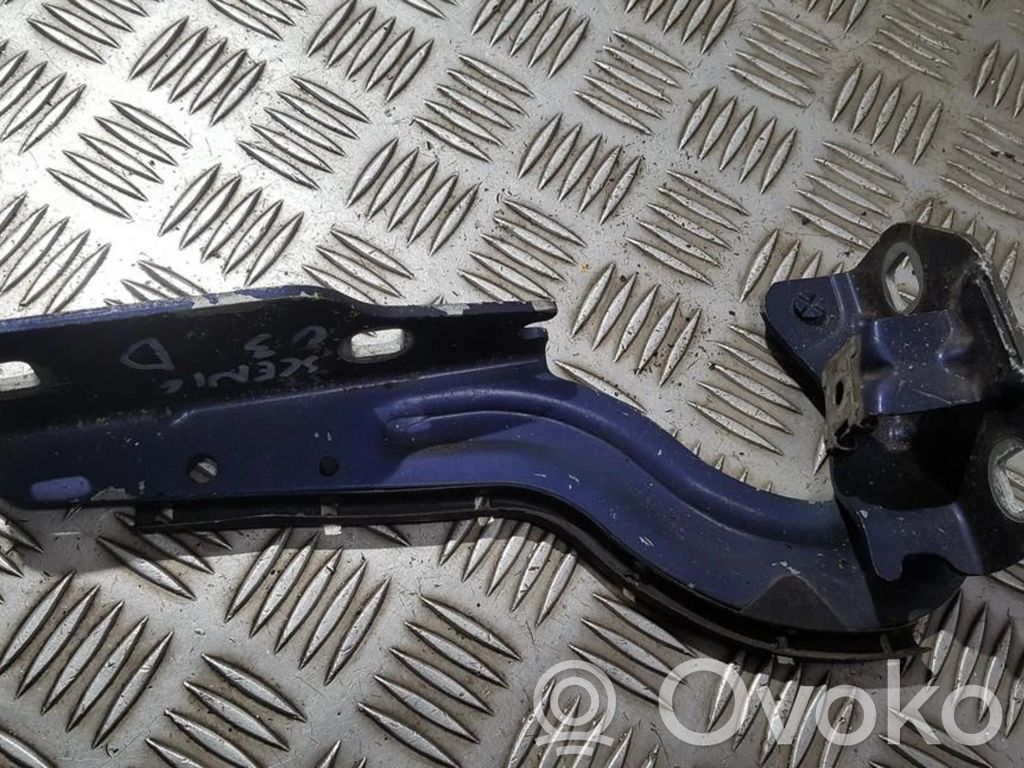Renault Scenic I Balamale capotă 