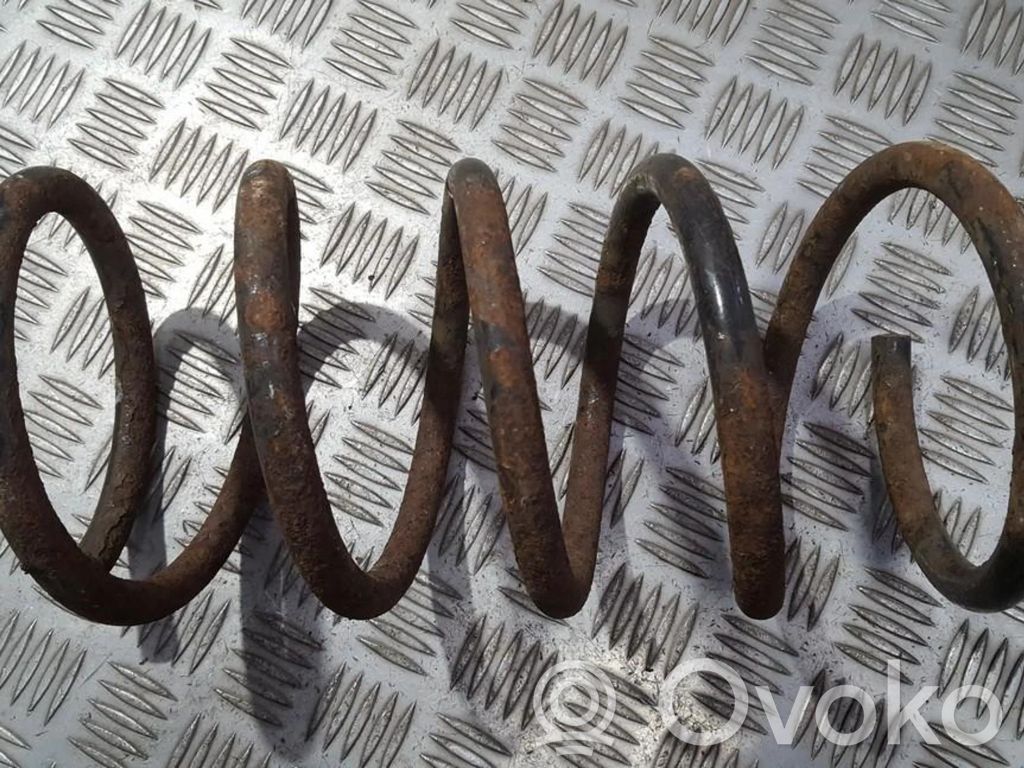 Rear coil spring
