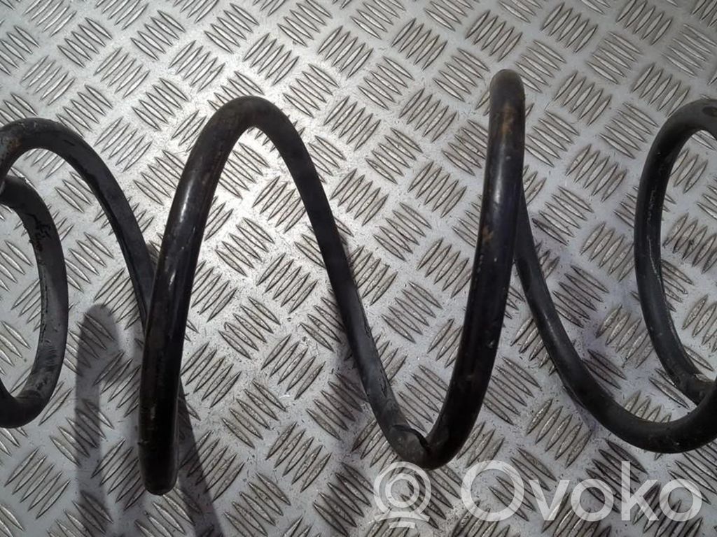 Molla elicoidale anteriore