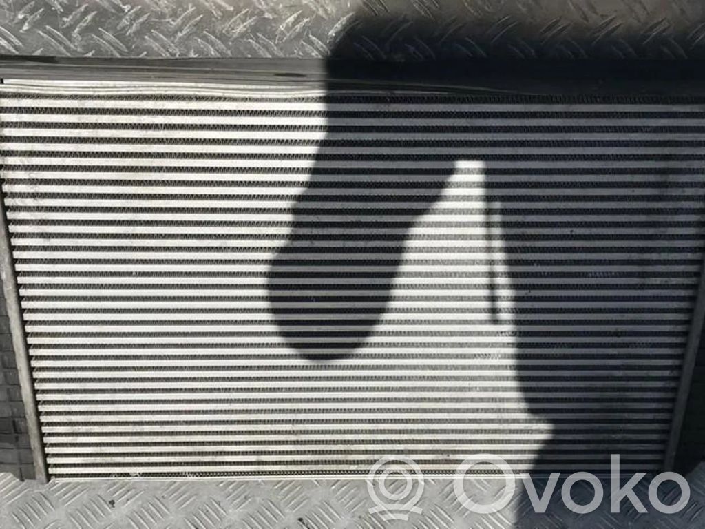 Volkswagen Golf V Radiatore intercooler 