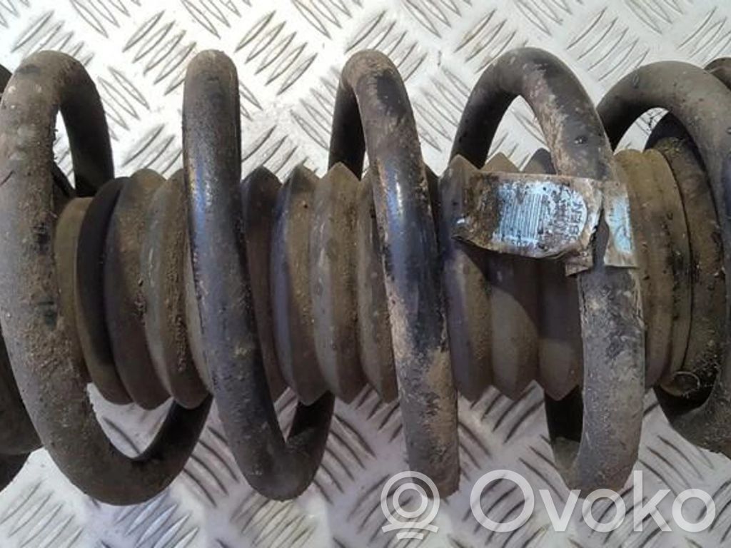 Front coil spring   6750338,6750338